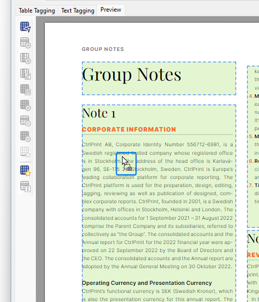 AMANA.XBRL.Tagger.CtrlPrint_SC2Z3DVp31.png